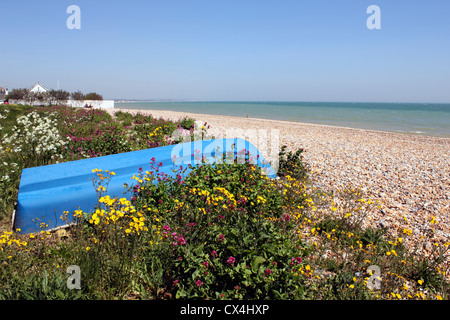 La plage à Pevensey Bay, East Sussex, Angleterre, Royaume-Uni Banque D'Images