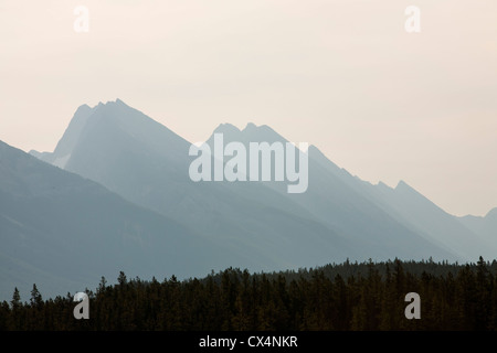 Peaks près de Jasper dans les montagnes Rocheuses, dans la lumière du soir, le Canada. Banque D'Images