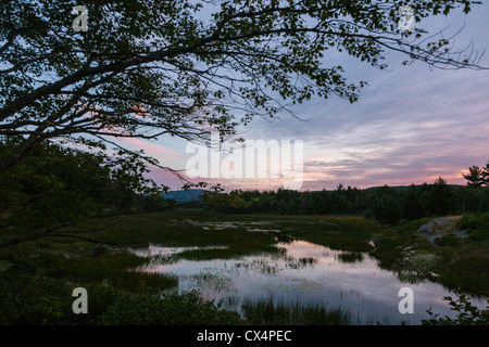 De soleil colorés dans l'Acadia National Park près de Bar Harbor, Maine USA Banque D'Images