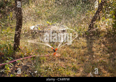 Agriculture - système d'irrigation dans la zone Banque D'Images