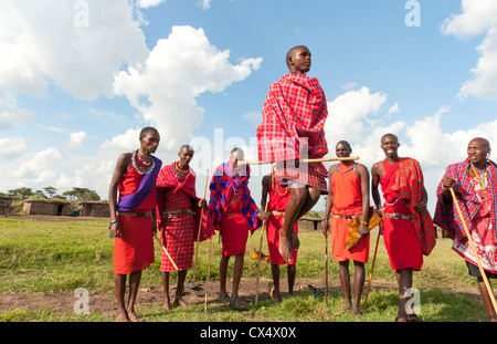 Guerriers Masai Masai Mara Kenya faisant le saut traditionnel pour les touristes dans le Parc National de Masai Mara en réserve # 9 Banque D'Images