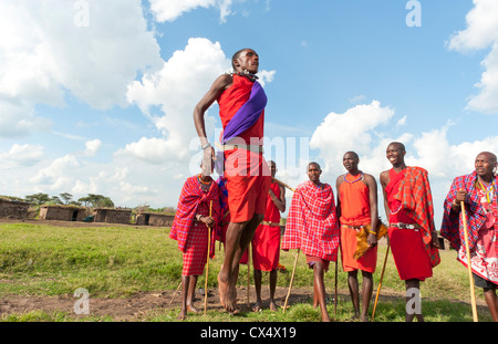 Guerriers Masai Masai Mara Kenya faisant le saut traditionnel pour les touristes dans le Parc National de Masai Mara en réserve # 9 Banque D'Images