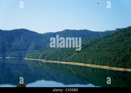 Vue panoramique de la lac Vidraru montagnes de Fagaras en Roumanie avec l'hirondelle noire volant au-dessus de l'eau Banque D'Images