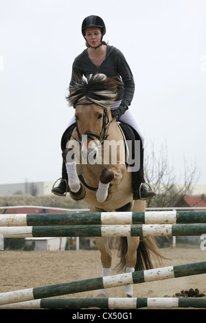 Rider avec cheval norvégien Banque D'Images