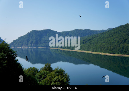 Vue panoramique de la lac Vidraru montagnes de Fagaras en Roumanie avec l'hirondelle noire volant au-dessus de l'eau Banque D'Images