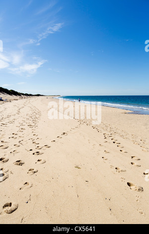 Herring Cove Beach, Cape Cod National Seashore, Cape Cod, Massachusetts, USA Banque D'Images