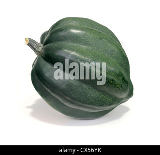 Courge poivrée vert photographié sur un fond blanc Banque D'Images