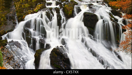 Swallow Falls, Betws-Y-coed, Conwy, Pays de Galles, Royaume-Uni, Europe Banque D'Images