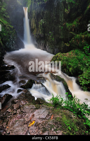 Le 60 pieds de Stanley Ghyll vigueur cascade dans Eskdale dans le Lake District Banque D'Images