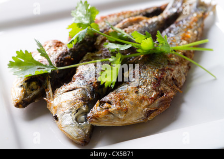 Sardine frit sur plaque avec de la coriandre Banque D'Images