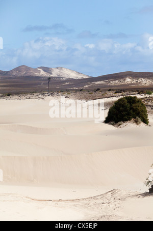 Désert de dunes de sable à Boa Vista, Cap Vert Banque D'Images
