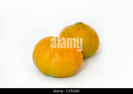 Mandarin savoureux frais sur fond blanc Banque D'Images