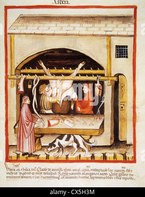 Tacuinum Sanitatis. 14e siècle. Manuel de l'époque médiévale la santé. Boucherie. Découpe de la viande. Miniature. Fol. R 79. Banque D'Images