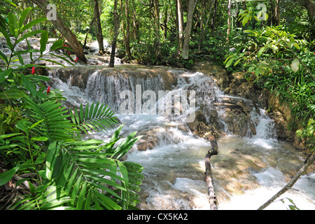 Dunn's River Falls à Ocho Rios, Jamaïque Banque D'Images