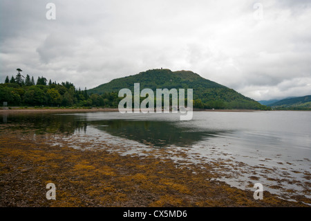 Le Loch Fyne vus de Inveraray Argyll et Bute, Ecosse Banque D'Images