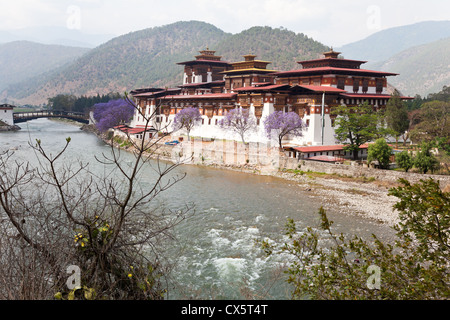 Monastère de punakha Banque D'Images