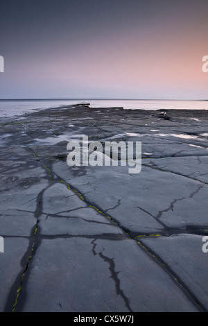 Les corniches dans le Dorset Kimmeridge Bay Banque D'Images