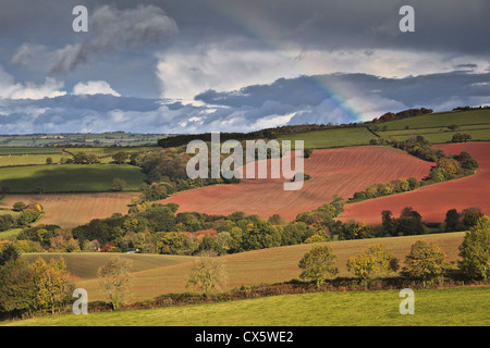 Une note de tempête sur le Raddon Hills dans le Devon laisse place à un arc-en-ciel. Banque D'Images