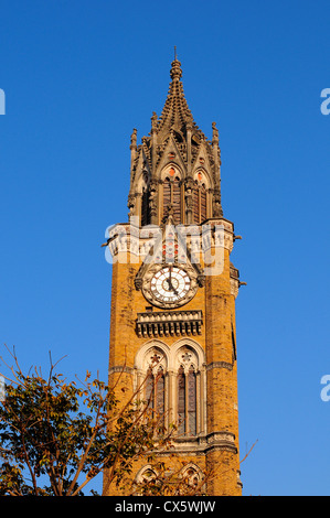 La Tour Rajabai . à l'université de Mumbai, Mumbai, Inde Banque D'Images