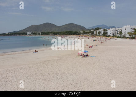 Une vue de la plage à Port d'Alcudia avec palmiers Banque D'Images