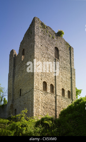 St Leonard's Tower, West Malling, Kent Banque D'Images