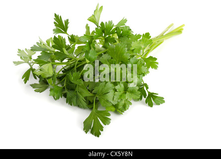 Bouquet de persil frais isolé sur blanc sur blanc Banque D'Images