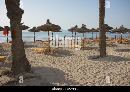 Un coureur solitaire passe les transats sur la plage d'alcudia à mesure que le soleil commence à descendre Banque D'Images