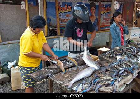 Un stand de poisson avec les fournisseurs nettoyage du poisson sur le marché local en Tanawangko, Sulawesi du Nord. Banque D'Images