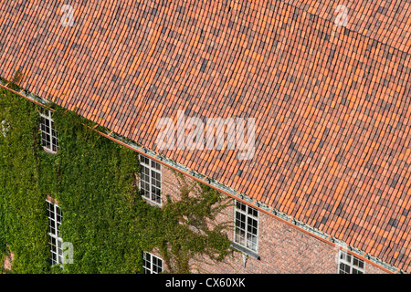 Le livre vert sur une plante rampante wall house Banque D'Images