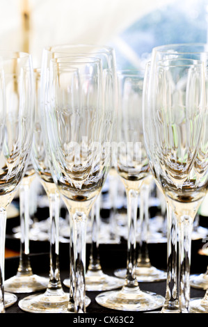 Verres à champagne Banque D'Images