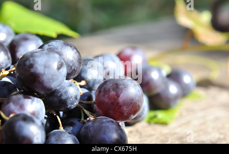 Gros plan sur grappe de raisins noirs sur planche de bois Banque D'Images