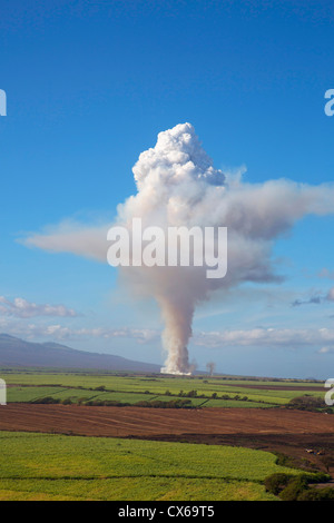 Incendie de la canne à sucre de canne, champ, Maui, Hawaii Banque D'Images