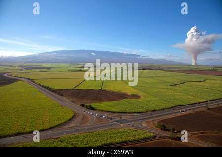 Incendie de la canne à sucre de canne, champ, Maui, Hawaii Banque D'Images