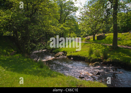 Biens immobiliers, Longshaw Burbage Brook, Peak District, England, UK Banque D'Images