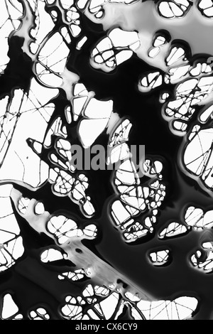 Splattered peinture noire faisant un motif abstrait complexe sur une surface blanche Banque D'Images