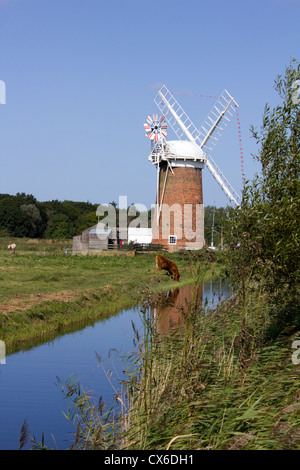 Horsey Bazin Parc National de Norfolk Broads angleterre uk go Banque D'Images