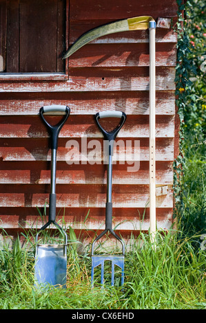 Faux et outils de jardin appuyé contre shed Banque D'Images