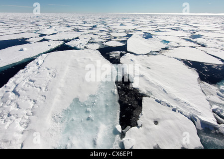 Brise-glace dans la mer de Barents, Svalbard, Norvège.