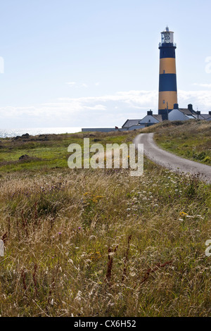 Le phare de St John's Point, Killough, Irlande du Nord Banque D'Images