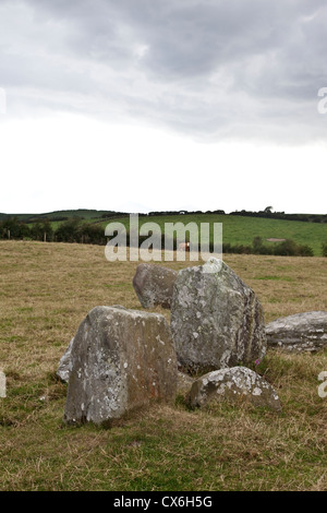 Ballynoe Stone Circle, la péninsule de Lecale, comté de Down, Irlande du Nord Banque D'Images