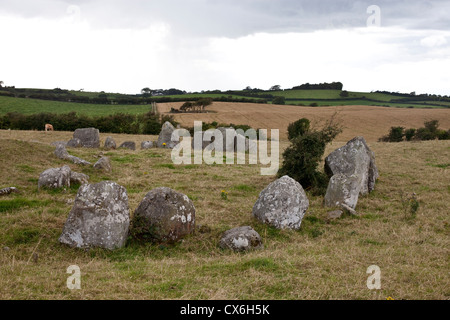 Ballynoe Stone Circle, la péninsule de Lecale, comté de Down, Irlande du Nord Banque D'Images