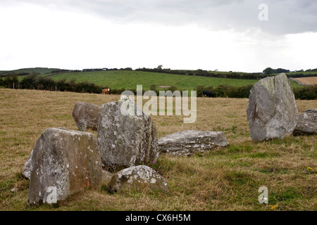 Ballynoe Stone Circle, la péninsule de Lecale, comté de Down, Irlande du Nord Banque D'Images