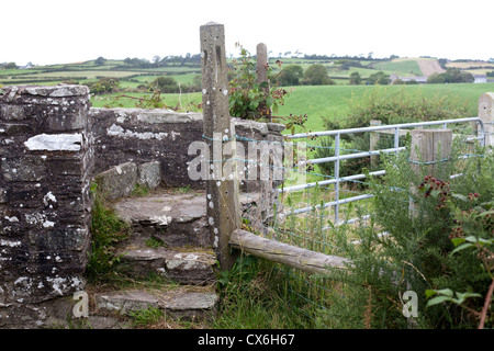 Neolithic chemin menant à Ballynoe Stone Circle, la péninsule de Lecale, comté de Down, Irlande du Nord Banque D'Images