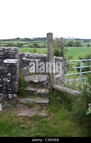 Neolithic chemin menant à Ballynoe Stone Circle, la péninsule de Lecale, comté de Down, Irlande du Nord Banque D'Images