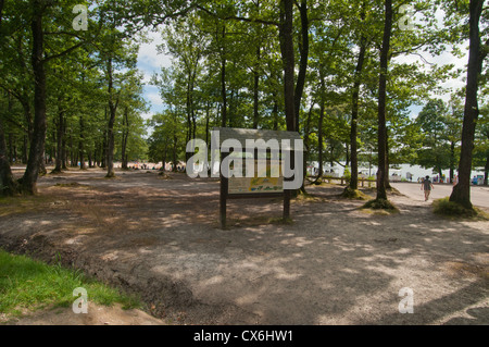 Forêt et lac de Sillé-le-Guillaume, dans la Sarthe, Pays de la Loire, France. Banque D'Images