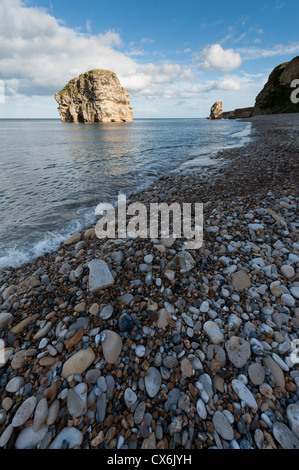 La côte, mer et rochers à Marsden Bay près de Whitburn County Durham, entre les rivières de Tyne et Wear UK Banque D'Images