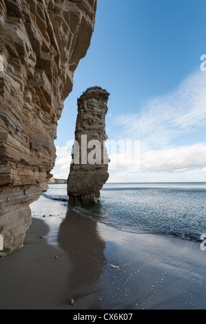 La côte, mer et rochers à Marsden Bay près de Whitburn County Durham, entre les rivières de Tyne et Wear UK Banque D'Images