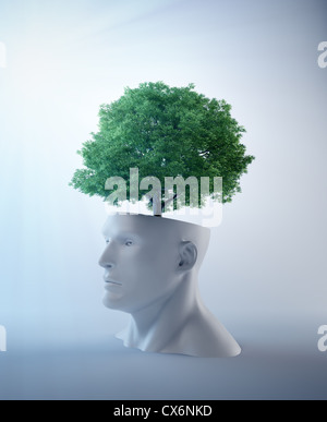 Tree, fruit d'une tête abstraite - créativité et la psychologie concept illustration Banque D'Images