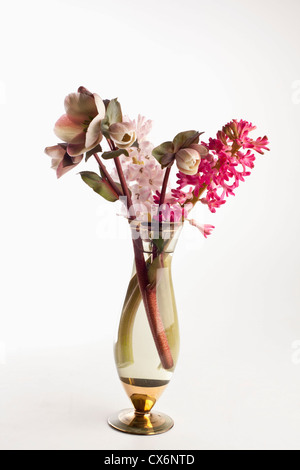 Un bouquet de fleurs, y compris les roses de carême (Helleborus orientalis) et jacinthes Banque D'Images