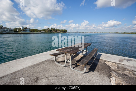 Haulover Park Bayside de pique-nique, Miami, Floride, USA Banque D'Images